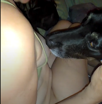 353px x 360px - Fat BBW whore uses peanut butter to have her dog lick her pussy â€¢ LeakTape